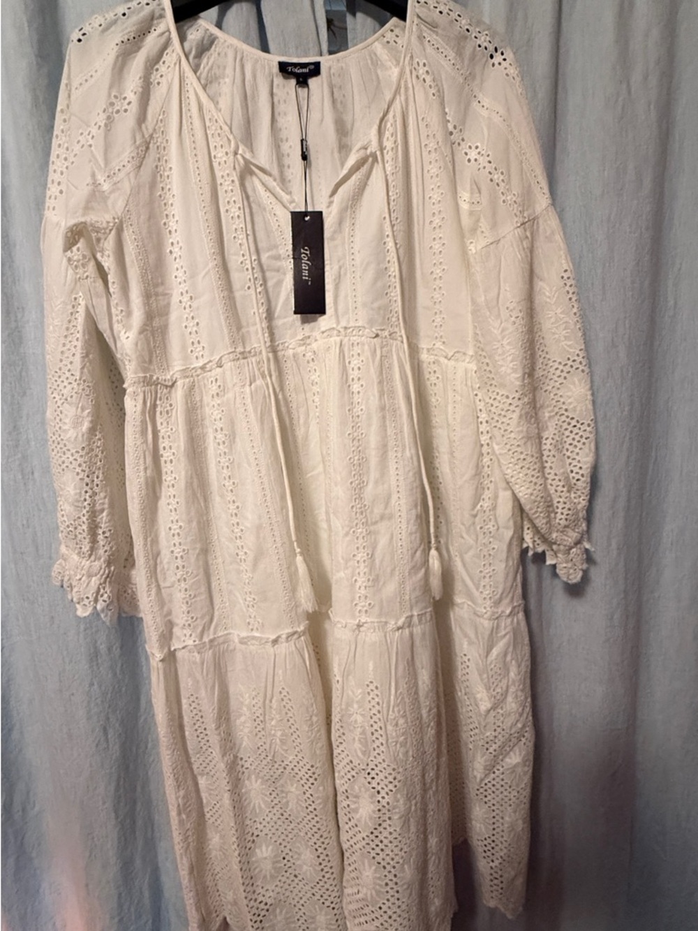Tolani Ivory Eyelet Tiered Long-Sleeve Midi Dress